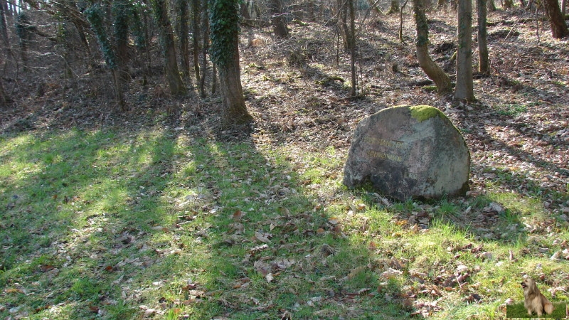 Ritterstein Nr. 217-3 Hier stand der Schwanhof.JPG - Ritterstein Nr.217 Hier stand der Schwanhof